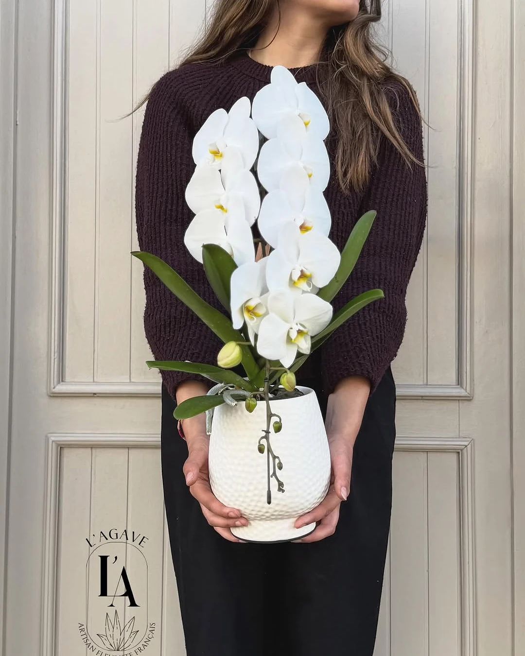 Une orchidée blanche dans son cache-pot